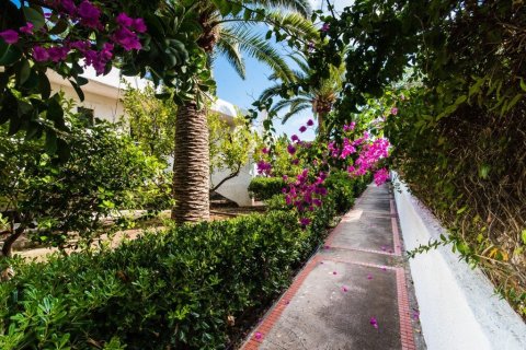 42 rooms Hotel in Hersonissos, Greece No. 56209 22