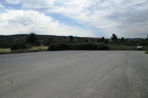 10000m² Land en Chalkidiki, Greece No. 60355 1