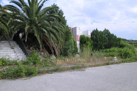 10000m² Land en Chalkidiki, Greece No. 60355 4