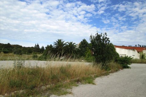 10000m² Land en Chalkidiki, Greece No. 60355 7