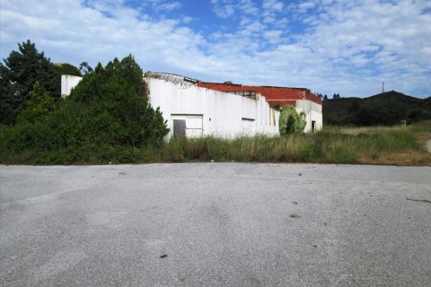 10000m² Land en Chalkidiki, Greece No. 60355 3