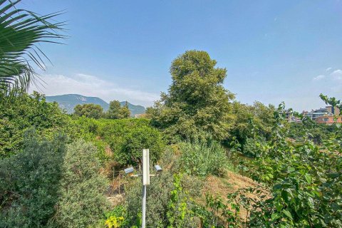 3 rooms Appartement à Chau Lang, Vietnam No. 17757 2