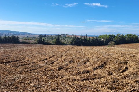 13600m² Land in Chalkidiki, Greece No. 108712 3