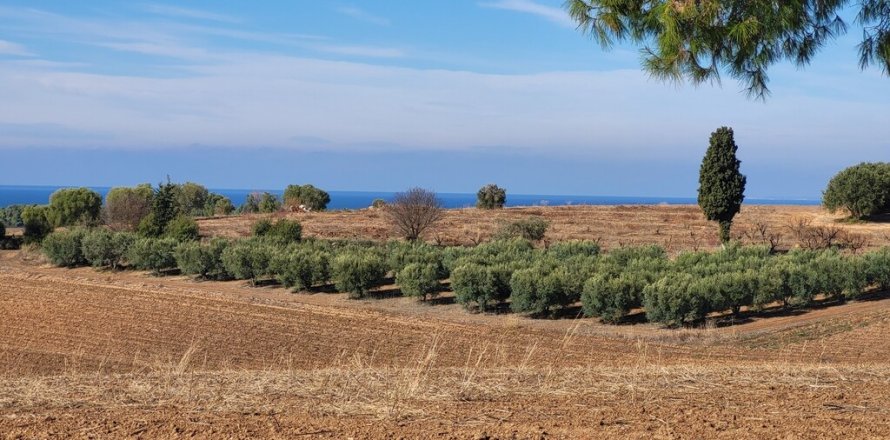 13600m² Land in Chalkidiki, Greece No. 108712