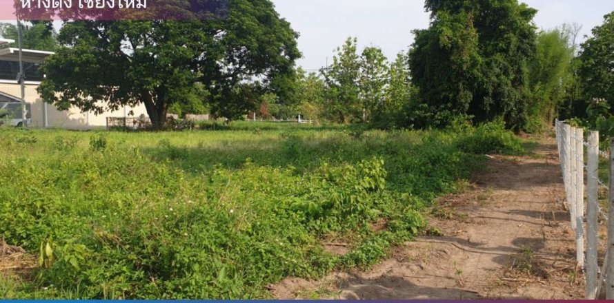 Land in Chiang Mai, Thailand No. 97846