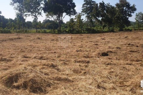 Land in Chiang Mai, Thailand No. 97846 8