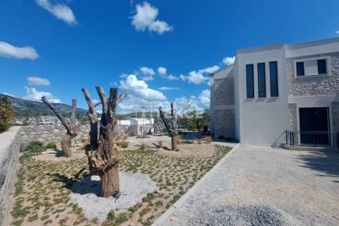 4 dormitorios Villa en Phi Dien, Vietnam No. 12774 22