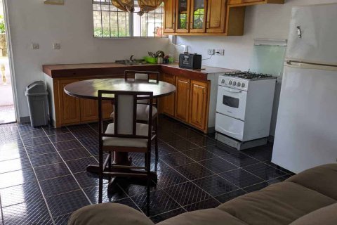 12 chambres Commercial property à Portsmouth, Dominica No. 78527 11