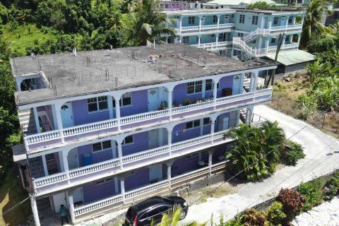 12 chambres Commercial property à Portsmouth, Dominica No. 78527 1