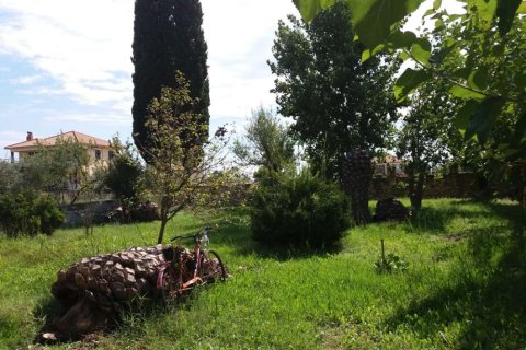 3 dormitorios House en Zakynthos, Greece No. 24582 3