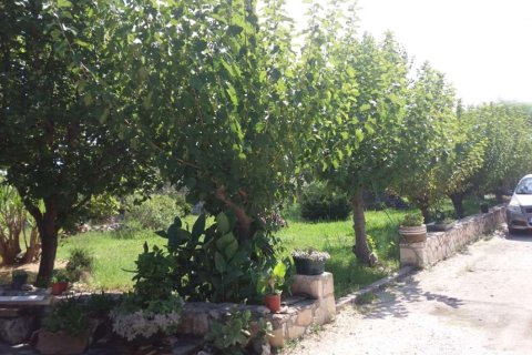 3 dormitorios House en Zakynthos, Greece No. 24582 2