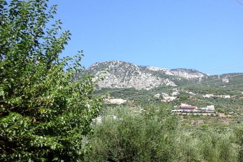 3510m² Land in Kalamata, Greece No. 59421 1
