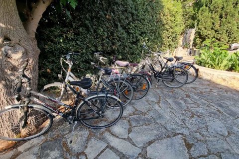 Коммерческая недвижимость с 7 спальнями в Ханья, Греция №23852 29