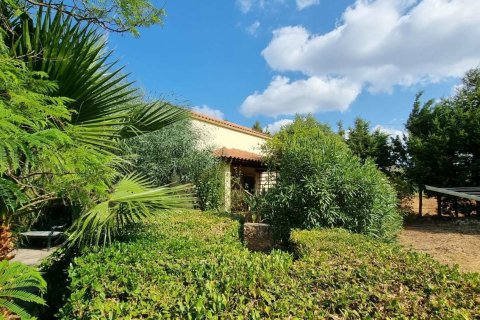 Коммерческая недвижимость с 7 спальнями в Ханья, Греция №23852 2