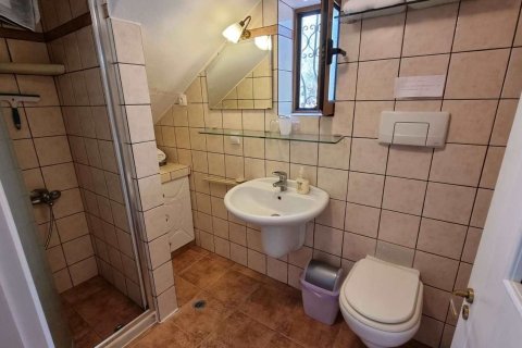 Коммерческая недвижимость с 7 спальнями в Ханья, Греция №23852 27