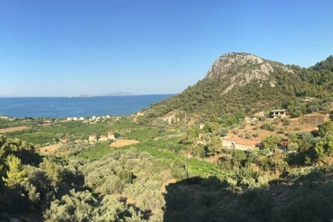 8 rooms Building in Argolis, Greece No. 109195 6