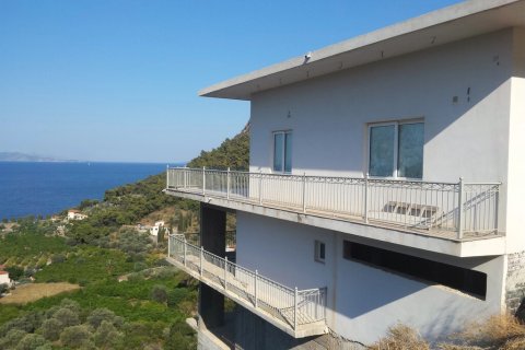 8 rooms Building in Argolis, Greece No. 109195 7