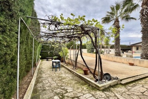 5 chambres Bungalow à Paphos, Cyprus No. 81609 27