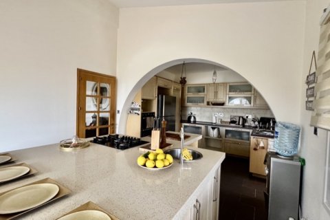 5 chambres Bungalow à Paphos, Cyprus No. 81609 5