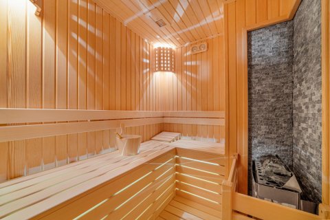 3 bedrooms Penthouse in Bo Ha, Vietnam No. 13374 23