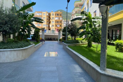 3 chambres Penthouse à Chau Lang, Vietnam No. 15409 25