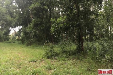 Земельный участок 13692м² в Пхангнга, Таиланд №96954 6