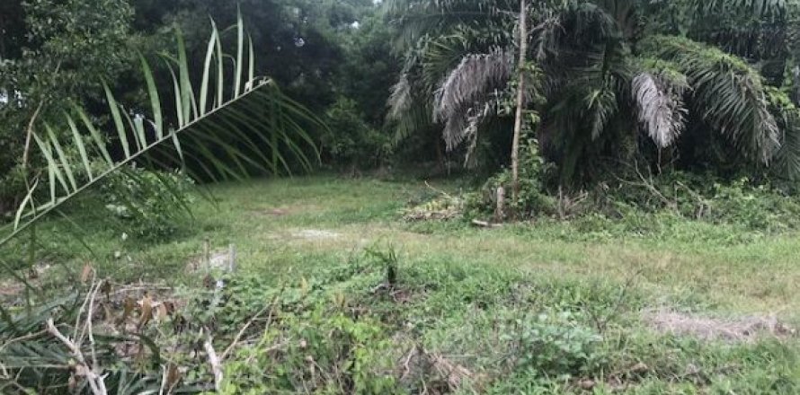 Земельный участок 13692м² в Пхангнга, Таиланд №96954