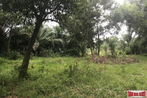 Земельный участок 13692м² в Пхангнга, Таиланд №96954 5