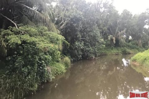 Земельный участок 13692м² в Пхангнга, Таиланд №96954 4