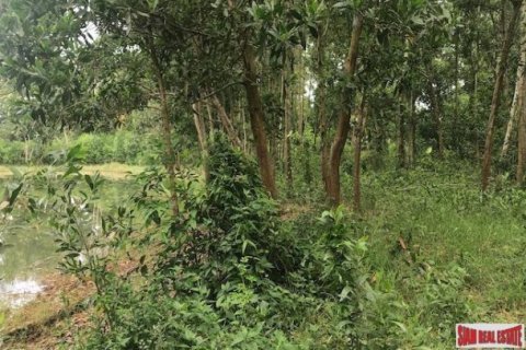 Земельный участок 13692м² в Пхангнга, Таиланд №96954 8