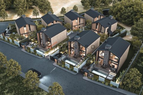 4 bedrooms Villa in Ra Ban, Vietnam No. 116282 1