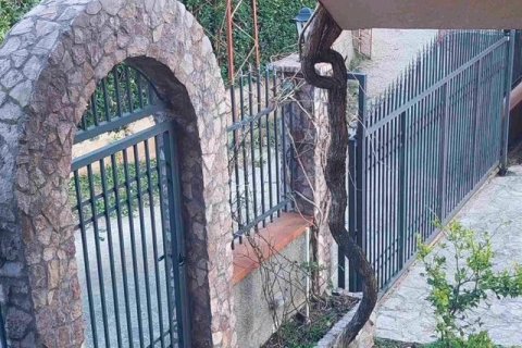 12 bedrooms Apartment in Sutomore, Montenegro No. 78731 18