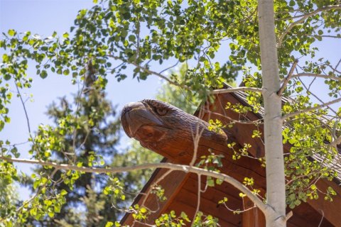 4 bedrooms House in Silverthorne, USA No. 104614 3