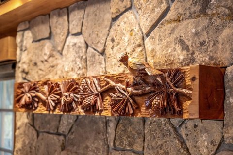 4 bedrooms House in Silverthorne, USA No. 104614 30