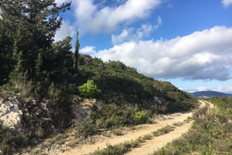 Land à Zakynthos, Greece No. 28091 3