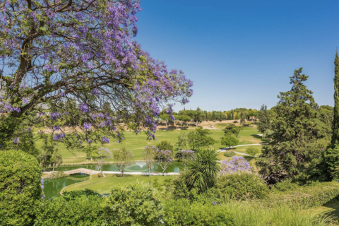 3 dormitorios Office en Thuan Nam, Vietnam No. 83893 25