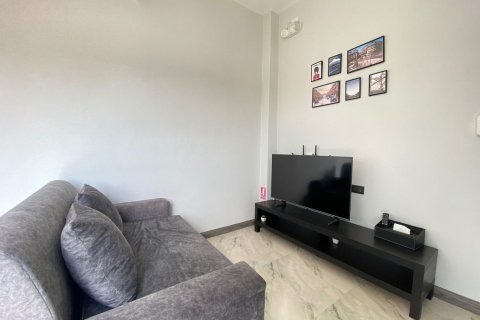 8 dormitorios Commercial property en Chiang Mai, Thailand No. 2558 18