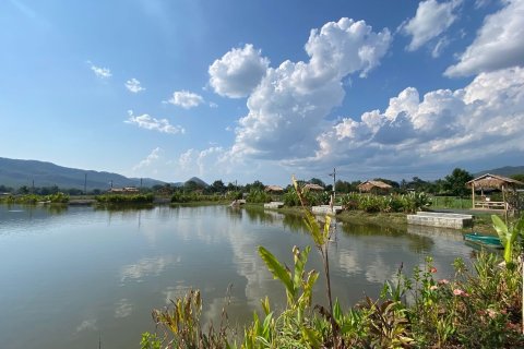 8 dormitorios Commercial property en Chiang Mai, Thailand No. 2558 11