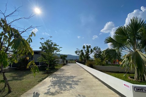 8 dormitorios Commercial property en Chiang Mai, Thailand No. 2558 2