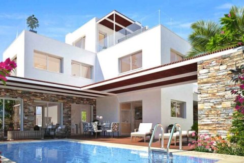 4 bedrooms Villa in Paphos, Cyprus No. 106633