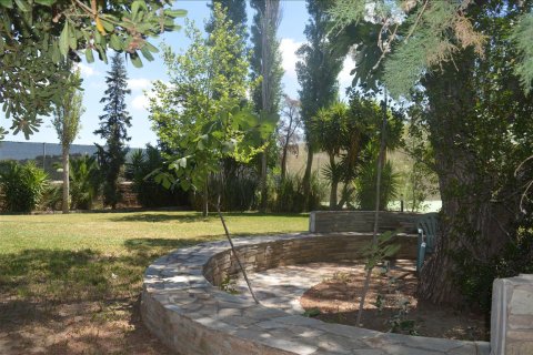 5 chambres Villa à Kalyvia Thorikou, Greece No. 59167 7