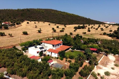 363m² Hotel à Polygyros, Greece No. 58590 5