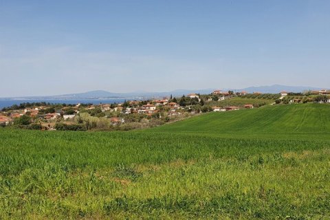 5500m² Land in Chalkidiki, Greece No. 56342 3