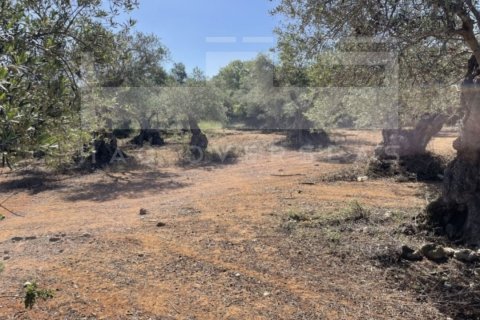 3 dormitorios Villa en Rethymno, Greece No. 24411 11