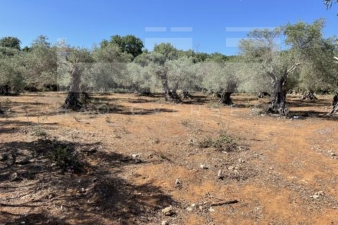 3 dormitorios Villa en Rethymno, Greece No. 24411 13