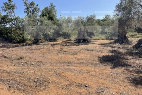 3 dormitorios Villa en Rethymno, Greece No. 24411 12