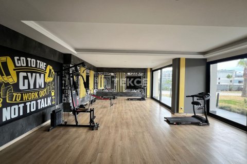 4 chambres Penthouse à Chau Lang, Vietnam No. 10930 10