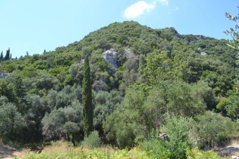 7000m² Land à Corfu, Greece No. 59064 2
