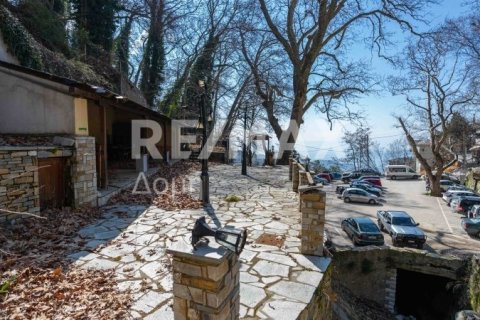 1 bedroom Commercial property in Magnesia, Greece No. 84663 12