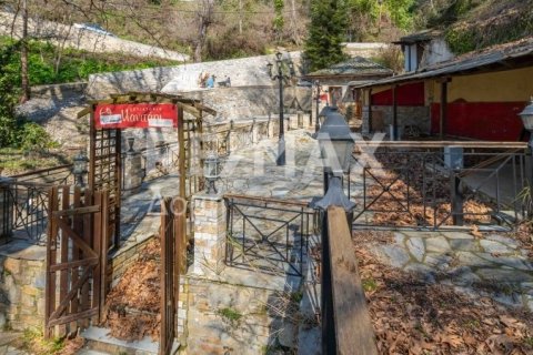 1 bedroom Commercial property in Magnesia, Greece No. 84663 7